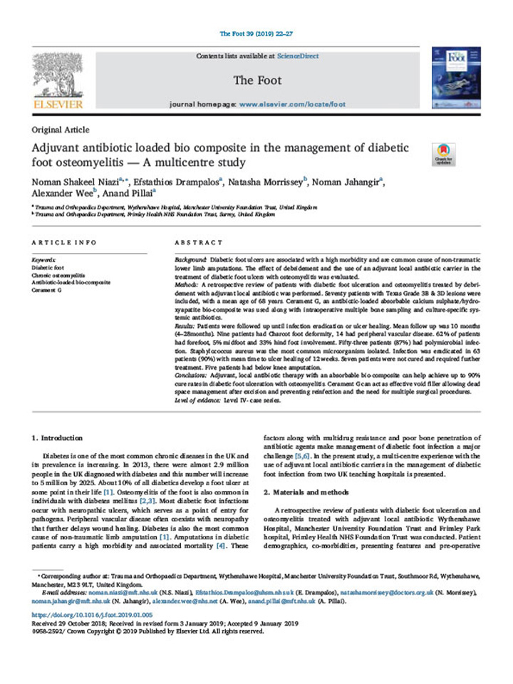 Adjuvant antibiotic loaded bio-composite